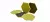 Scouring-Pad Scouring-Pad